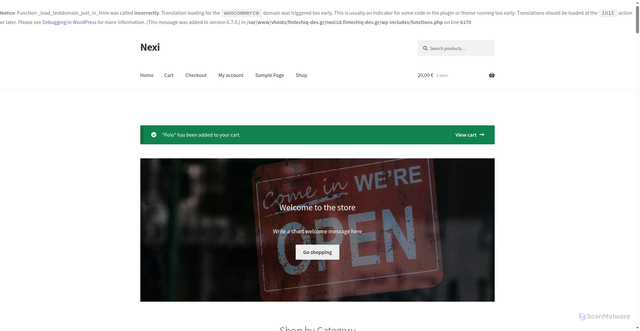 Security scan screenshot of https://nexi1d.fintechiq-dev.gr/?add-to-cart=28