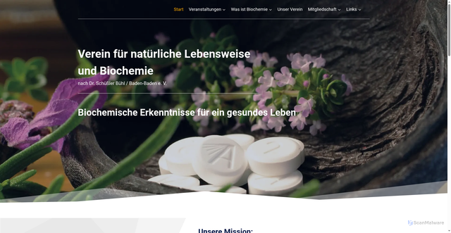 Security scan screenshot of https://biochemischer-verein-buehl.de
