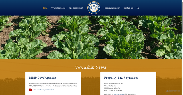 Security scan screenshot of https://www.sigeltownshipmi.gov/