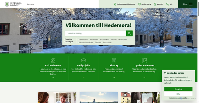 Security scan screenshot of https://hedemora.se/