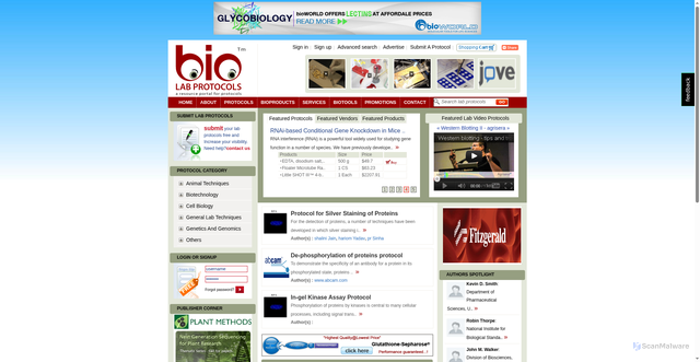 Security scan screenshot of https://www.biolabprotocols.com