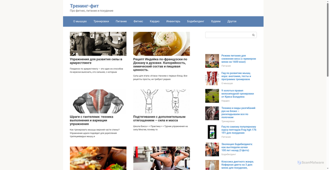 Security scan screenshot of https://treninginlp.ru