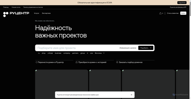 Security scan screenshot of https://nic.ru