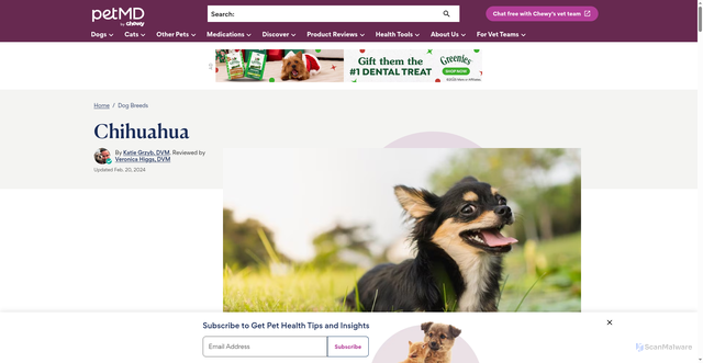 Security scan screenshot of https://www.petmd.com/dog/breeds/chihuahua