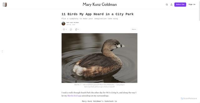 Security scan screenshot of https://marykunzgoldman.substack.com/p/the-11-birds-of-south-park-according