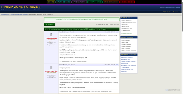 Security scan screenshot of https://pumping.zone/forum/thread_seeing_colors.html