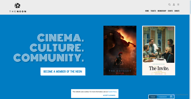 Security scan screenshot of https://www.neonmovies.com/