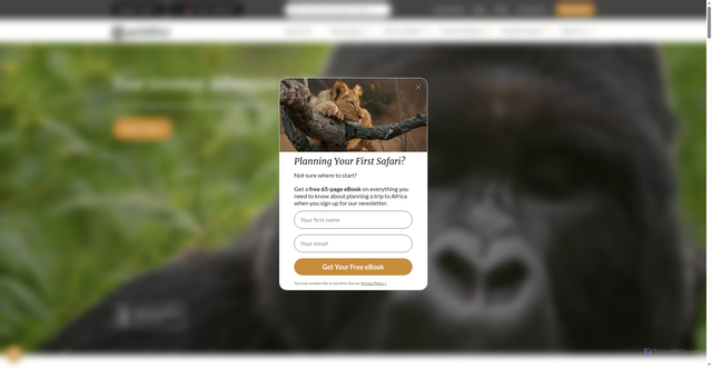 Security scan screenshot of https://go2africa.com