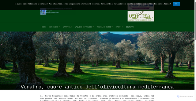 Security scan screenshot of https://parcodellolivodivenafro.eu