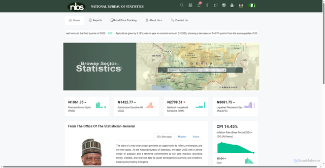 Security scan screenshot of https://www.nigerianstat.gov.ng/