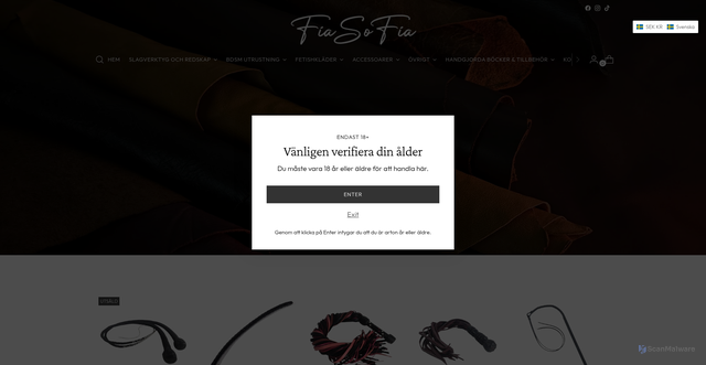 Security scan screenshot of https://fiasofia.se
