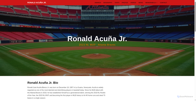 Security scan screenshot of https://ronaldacunajr.com/