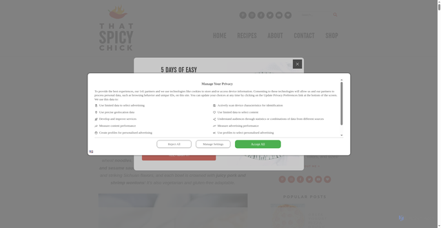 Security scan screenshot of https://thatspicychick.com/spicy-dan-dan-noodles-wontons/