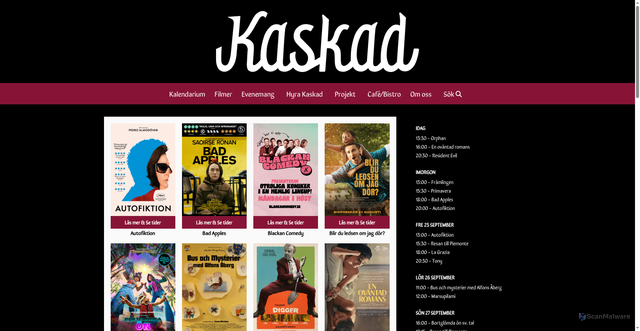 Security scan screenshot of https://biokaskad.se