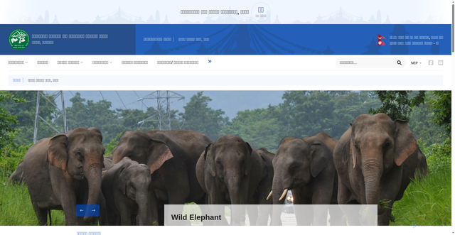 Security scan screenshot of http://www.dnpwc.gov.np/