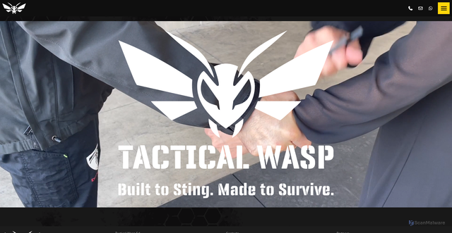 Security scan screenshot of cdn.tacticalwasp.com