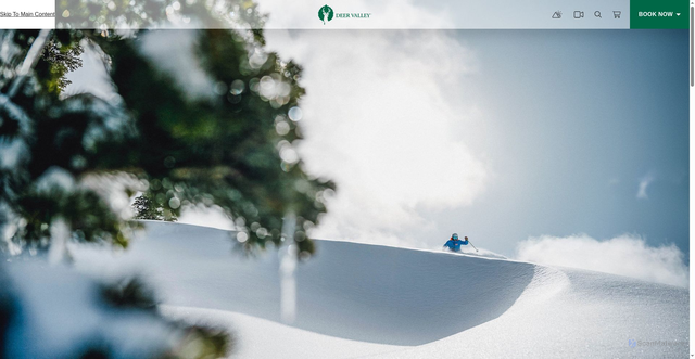 Security scan screenshot of https://deervalley.com