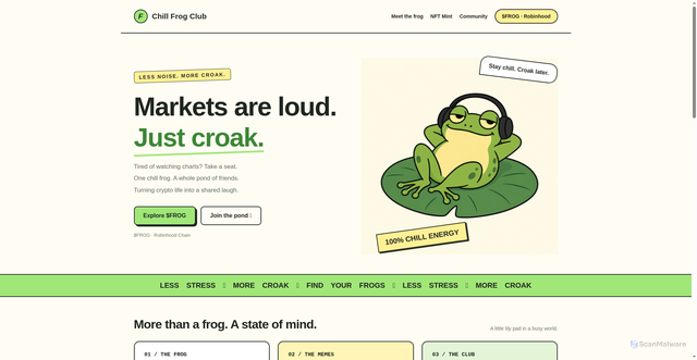 Security scan screenshot of https://frog.rent/