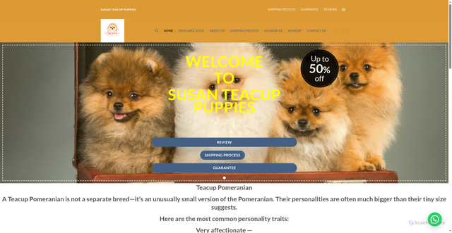 Security scan screenshot of https://susanteacuppuppies.com