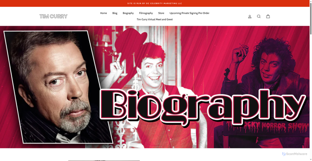 Security scan screenshot of https://timcurry.com/pages/biography