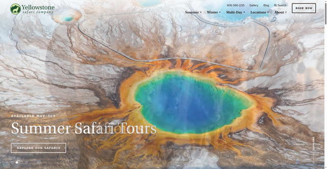 Security scan screenshot of https://yellowstonesafari.com/