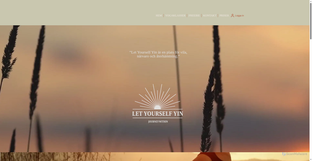 Security scan screenshot of https://letyourselfyin.se