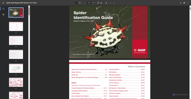 Security scan screenshot of https://ipminstitute.org/wp-content/uploads/2016/06/Spider-Guide-Wegner-BASF-Revised-12-2-14.pdf