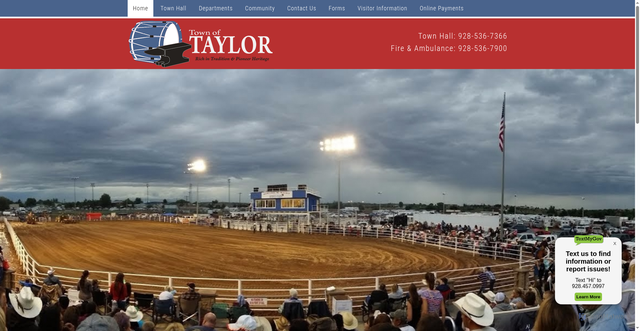 Security scan screenshot of https://www.tayloraz.gov/