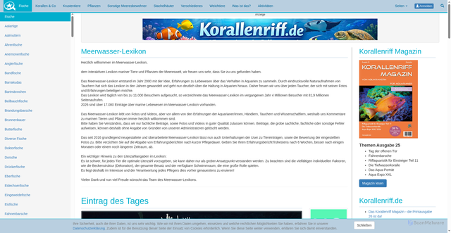 Security scan screenshot of https://meerwasser-lexikon.de