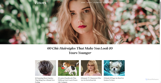 Security scan screenshot of https://fittors.com