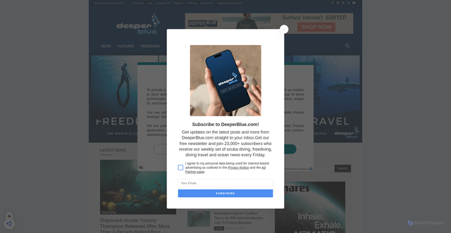 Security scan screenshot of https://deeperblue.com