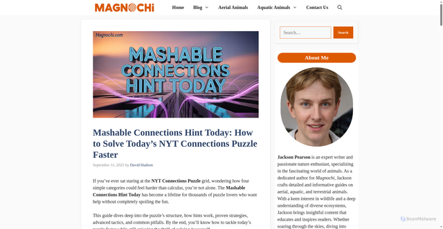 Security scan screenshot of https://magnochi.com/mashable-connections-hint-today/