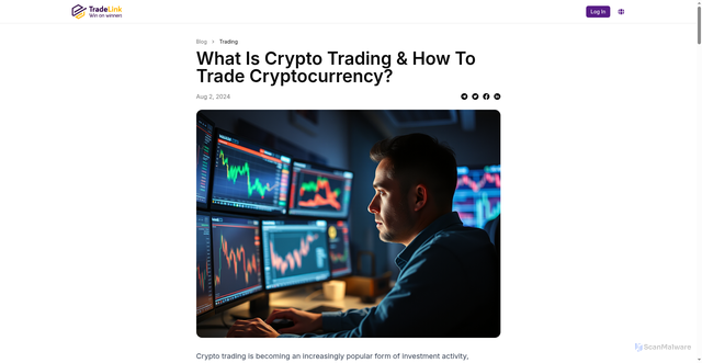 Security scan screenshot of https://tradelink.pro/blog/what-is-crypto-trading-and-how-to-trade-cryptocurrency/