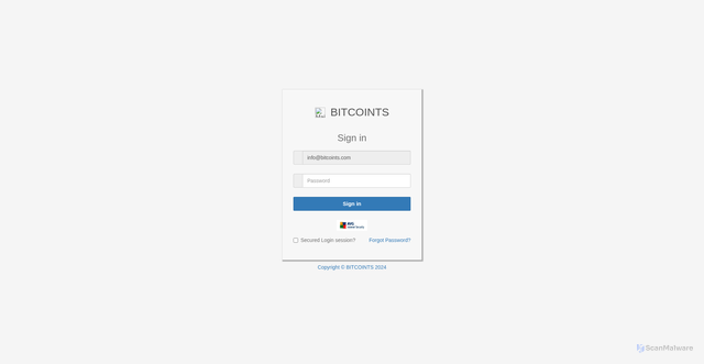 Security scan screenshot of https://yogisandyoginis.com/zpwll.html#info@bitcoints.com