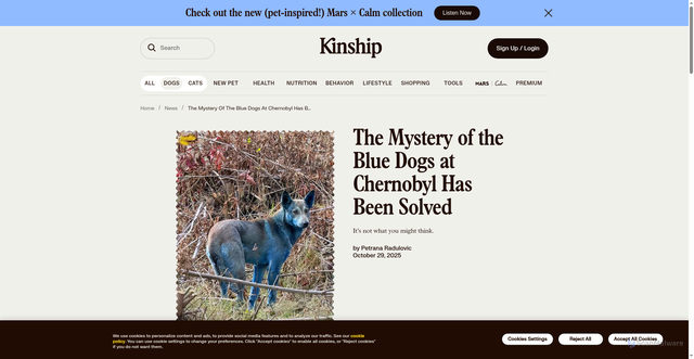Security scan screenshot of https://www.kinship.com/news/dogs-of-chernobyl-turning-blue