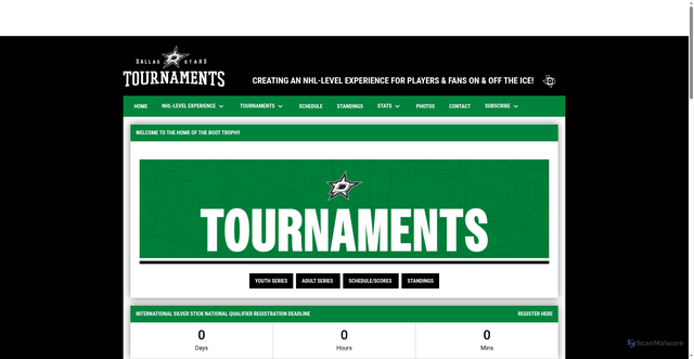 Security scan screenshot of https://www.dallasstarstournaments.com/