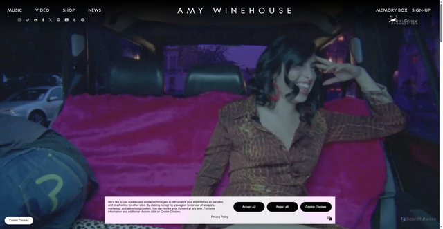 Security scan screenshot of https://www.amywinehouse.com/