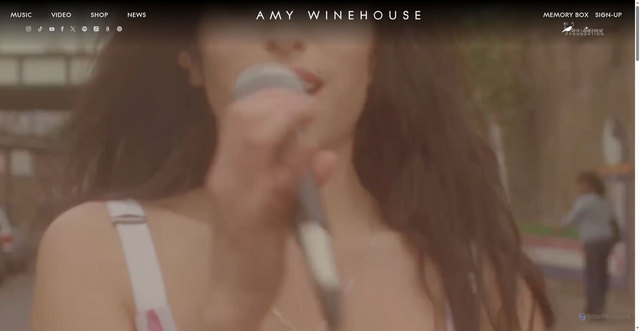 Security scan screenshot of https://www.amywinehouse.com/