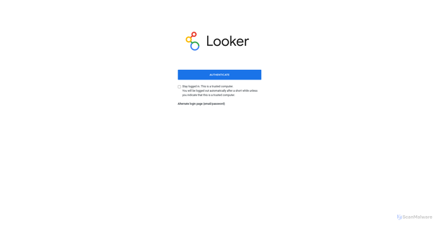 Security scan screenshot of https://codecademy.looker.com