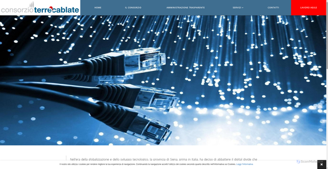 Security scan screenshot of https://www.consorzioterrecablate.it/