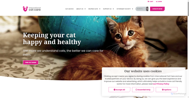 Security scan screenshot of https://icatcare.org