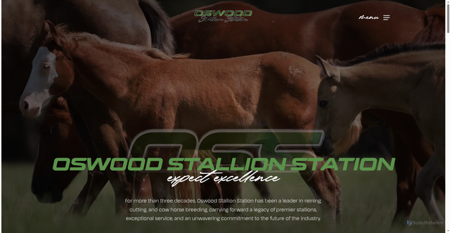 Security scan screenshot of https://oswoodstallionstation.com/