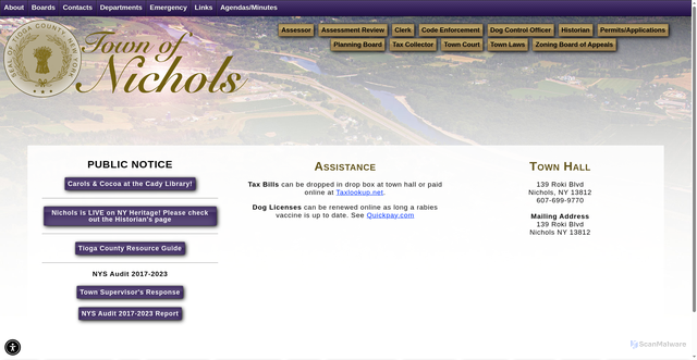 Security scan screenshot of https://townofnicholsny.gov/