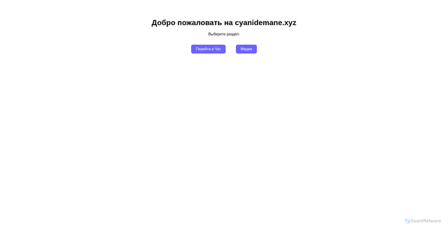 Security scan screenshot of https://89.110.110.11