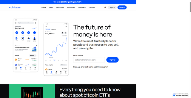 Security scan screenshot of https://sso--en-coinbasepro---cdn----auths.webflow.io/
