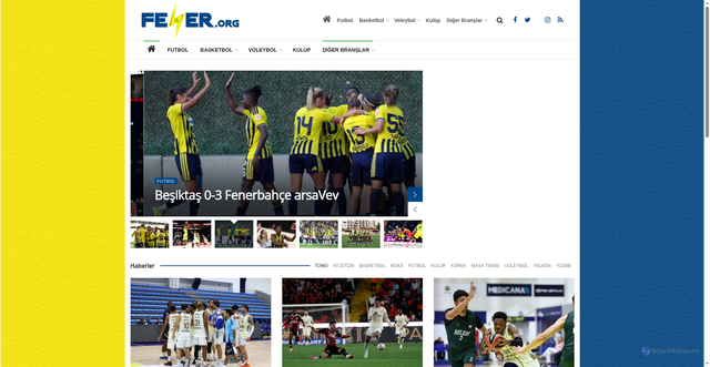 Security scan screenshot of https://www.fener.org/