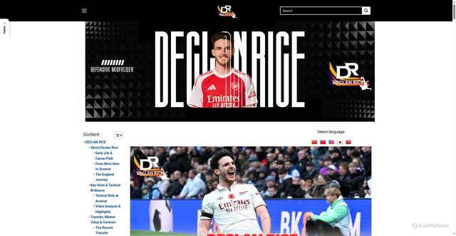 Security scan screenshot of https://declanrice.net/