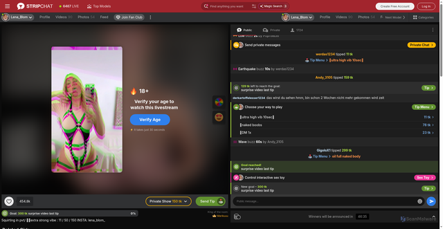 Security scan screenshot of https://silentprofit.space