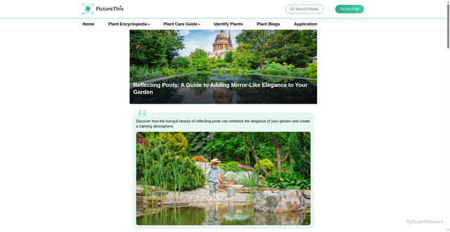 Security scan screenshot of https://www.picturethisai.com/blog/water-features-in-garden-design/Reflecting-Pools-A-Guide-to-Adding-Mirror-Like-Elegance-to-Your-Garden.html