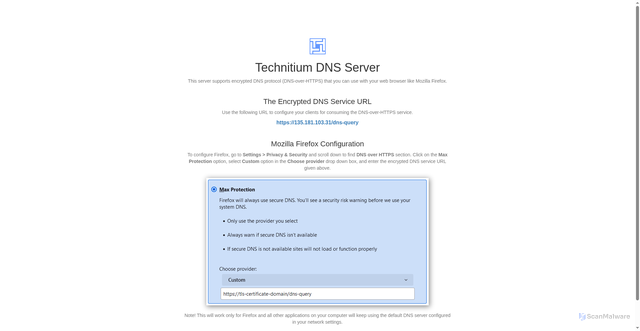 Security scan screenshot of https://135.181.103.31